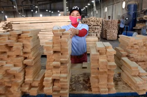 Les exportations de bois en croissance de 3,4 % ảnh 1 Les exportations de bois en croissance de 3,4 % ảnh 1