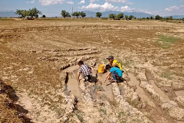 El Nino commence à faiblir, mais la sécheresse perdure au Vietnam ảnh 2