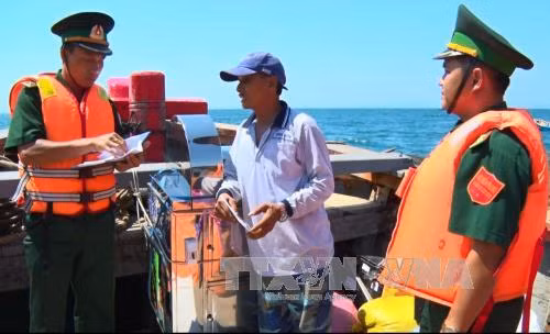 Le Vietnam agit contre la pêche illégale dans les eaux étrangères ảnh 1