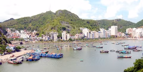 Le complexe d’écotourisme et de villégiature de Cat Bà mis en chantier ảnh 1