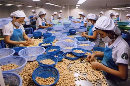 Faire du Vietnam l'un des 10 plus grands transformateurs agricoles du monde ảnh 1 Faire du Vietnam l'un des 10 plus grands transformateurs agricoles du monde ảnh 1
