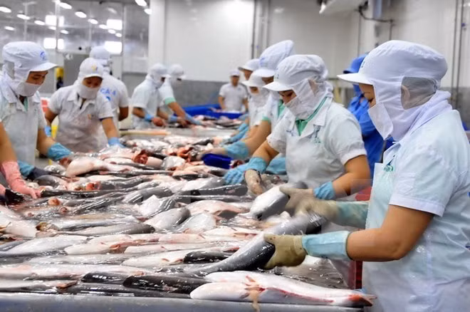 Bond des exportations des produits aquatiques en janvier ảnh 1