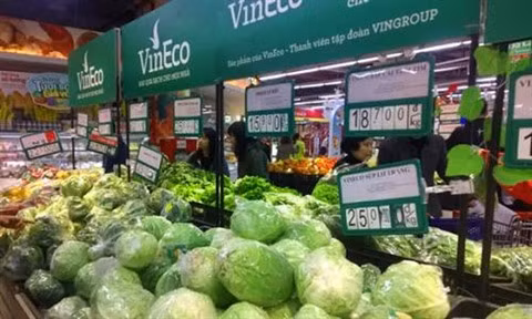 VinFast, Vsmart..., Vingroup affirme son label ảnh 3 VinFast, Vsmart..., Vingroup affirme son label ảnh 3