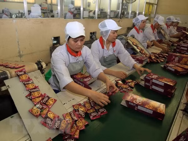 Promotion de la coopération économique entre le Vietnam et la RPDC ảnh 1 Promotion de la coopération économique entre le Vietnam et la RPDC ảnh 1
