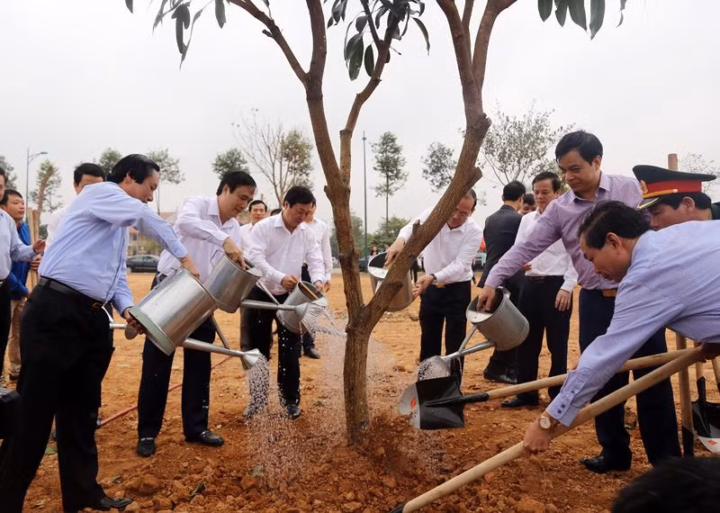 La fête de plantation d’arbres s’ébranle dans plusieurs localités ảnh 1 La fête de plantation d’arbres s’ébranle dans plusieurs localités ảnh 1