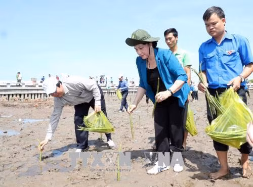 La présidente de l’AN assiste à la cérémonie de plantation des arbres à Cà Mau ảnh 1