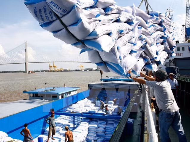 Exportations nationales de riz en hausse tant en volume qu'en valeur ảnh 1 Exportations nationales de riz en hausse tant en volume qu'en valeur ảnh 1