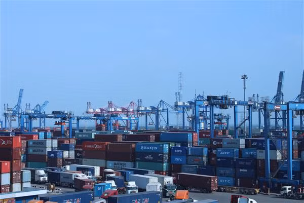 Forte croissance des exportations nationales de noix de cajou ảnh 1 Forte croissance des exportations nationales de noix de cajou ảnh 1