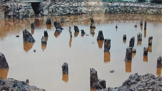 Préservation de la zone des vestiges historiques de Bach Dang ảnh 1