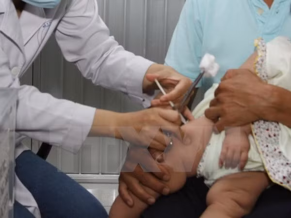 Le projet de numérisation du registre de vaccination récompensé ảnh 1 Le projet de numérisation du registre de vaccination récompensé ảnh 1