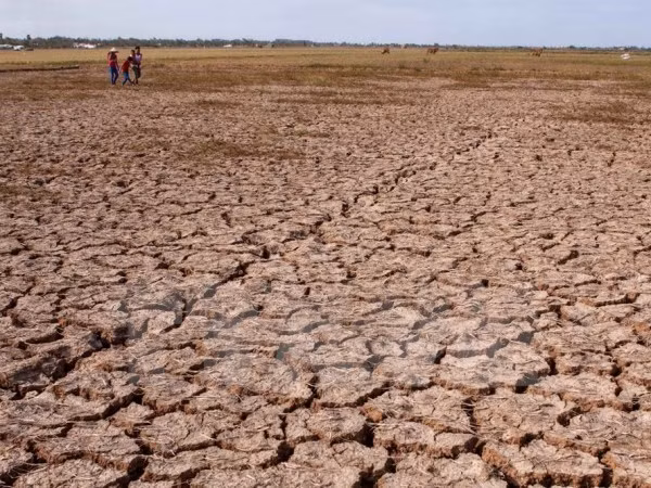 MRC: la sécheresse et la salinisation perdurent dans le delta du Mékong ảnh 1
