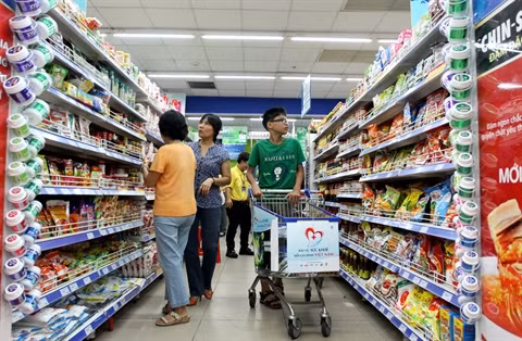 La grande distribution au service des exportations vietnamiennes ảnh 1