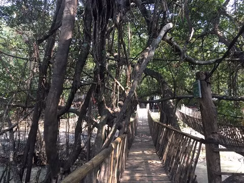 Dak Lak, une saveur montagnarde ảnh 2 Dak Lak, une saveur montagnarde ảnh 2