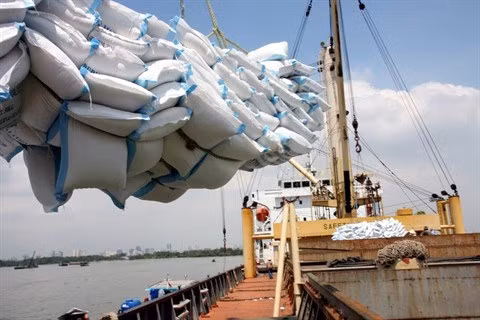 Baisse des exportations de riz au premier trimestre ảnh 1