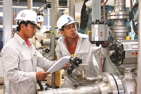Le biocarburant E5 démarre doucement au Vietnam ảnh 1