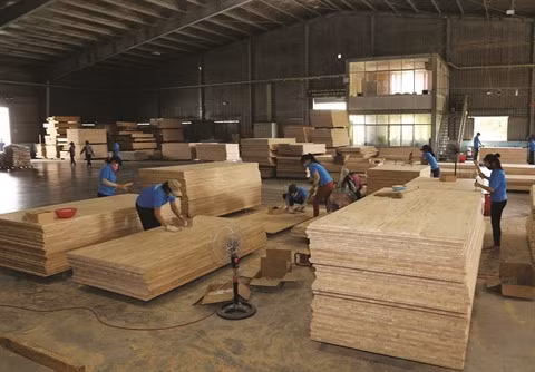 2017, un “grand cru” pour les exportations vietnamiennes ảnh 2