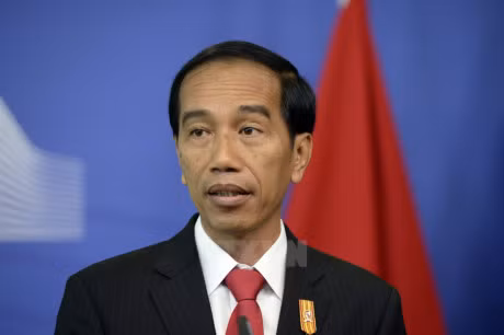 L'Indonésie tient en haute estime les relations ASEAN-Japon ảnh 1 L'Indonésie tient en haute estime les relations ASEAN-Japon ảnh 1