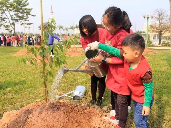 Plantation de 500 cerisiers japonais dans un parc de Hanoi ảnh 1