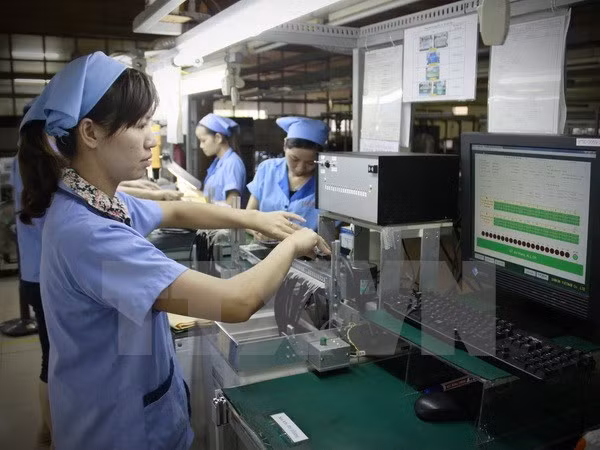 Les pays de l’ASEAN +3 renforcent la coopération dans le travail ảnh 1