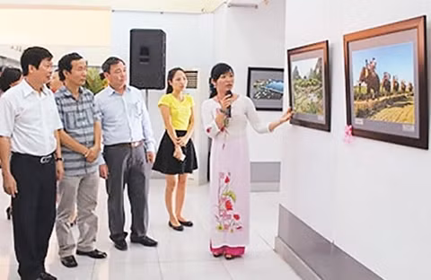 Hai Phong : le Vietnam en photos ảnh 1 Hai Phong : le Vietnam en photos ảnh 1