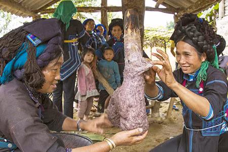 Khu già già - la fête des moissons ảnh 2