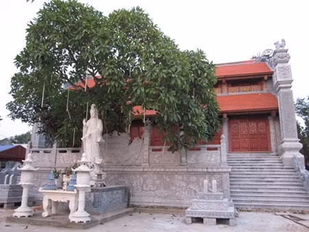 Cuong Xa - la pagode millénaire à Hai Duong ảnh 1 Cuong Xa - la pagode millénaire à Hai Duong ảnh 1