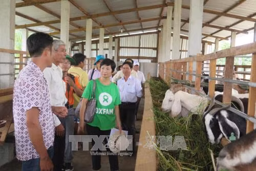 Renforcer la capacité de résilience aux changements climatiques à Ben Tre ảnh 1 Renforcer la capacité de résilience aux changements climatiques à Ben Tre ảnh 1