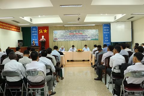 Cap sur la culture intensive des anacardiers ảnh 1