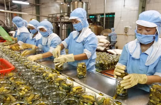 Agroalimentaire: des entreprises vietnamiennes sondent le marché européen ảnh 1 Agroalimentaire: des entreprises vietnamiennes sondent le marché européen ảnh 1