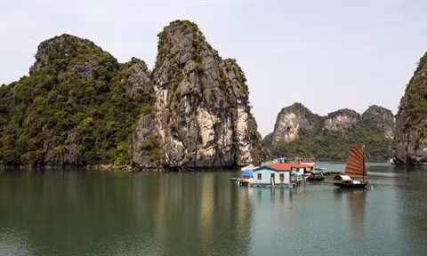 Baie de Ha Long : arrêt de la pêche dans la zone centrale ảnh 2