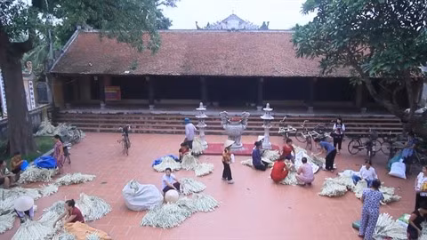 À Chuông, le village qui préserve la quintessence du nón ảnh 3