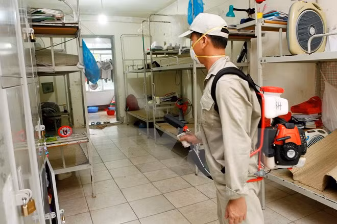 La dengue en baisse dans la plupart des localités du pays ảnh 1