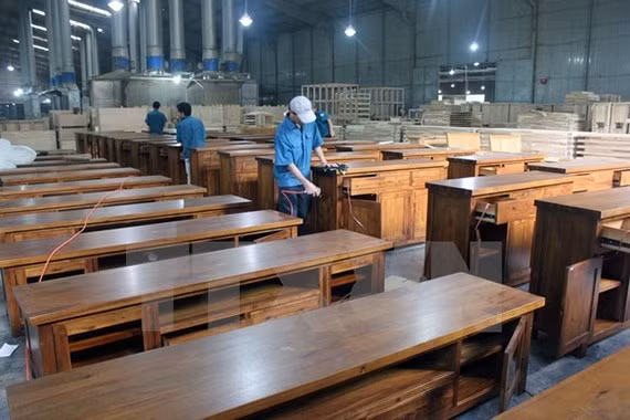 Exportations de bois et produits dérivés en hausse de 17,5% en onze mois ảnh 1