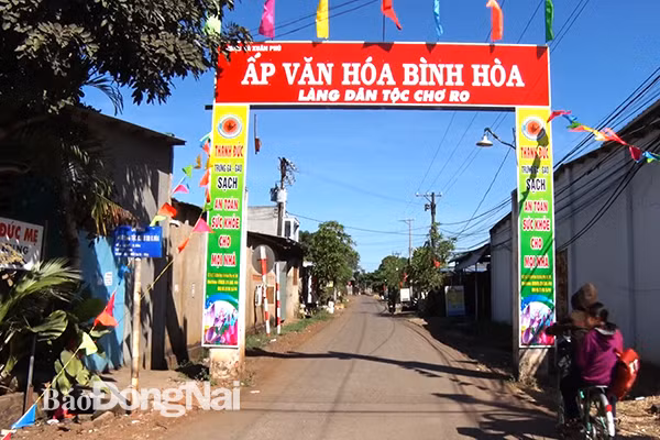 Dong Nai attire les investissements dans le développement des zones de minorités ethniques ảnh 1