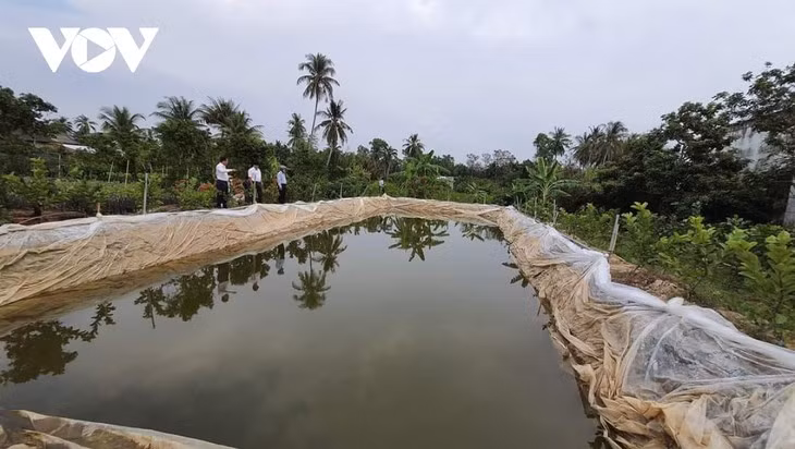 Le Delta du Mékong opte pour un développement adapté au changement climatique ảnh 2 Le Delta du Mékong opte pour un développement adapté au changement climatique ảnh 2