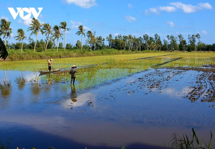 Le Delta du Mékong opte pour un développement adapté au changement climatique ảnh 1 Le Delta du Mékong opte pour un développement adapté au changement climatique ảnh 1