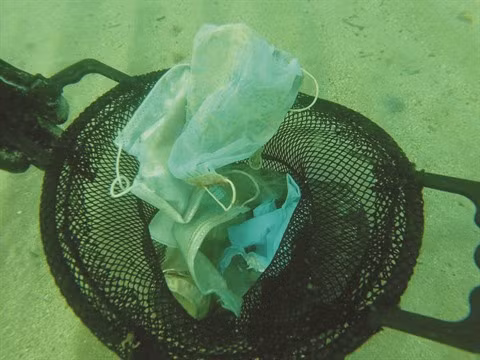Masques contre le COVID-19, un nouveau risque pour l'environnement ảnh 3