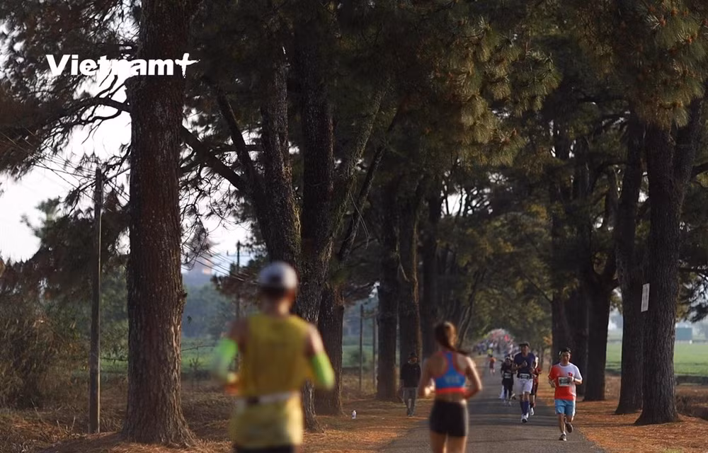 Le Championnat national de marathon de Tien Phong 2021 débute à Gia Lai ảnh 1
