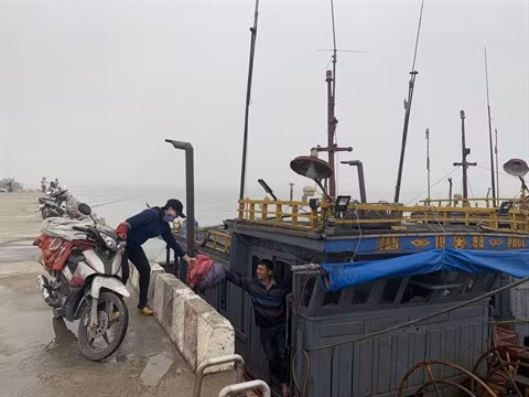 Le secteur de la pêche manque de main-d’œuvre ảnh 2