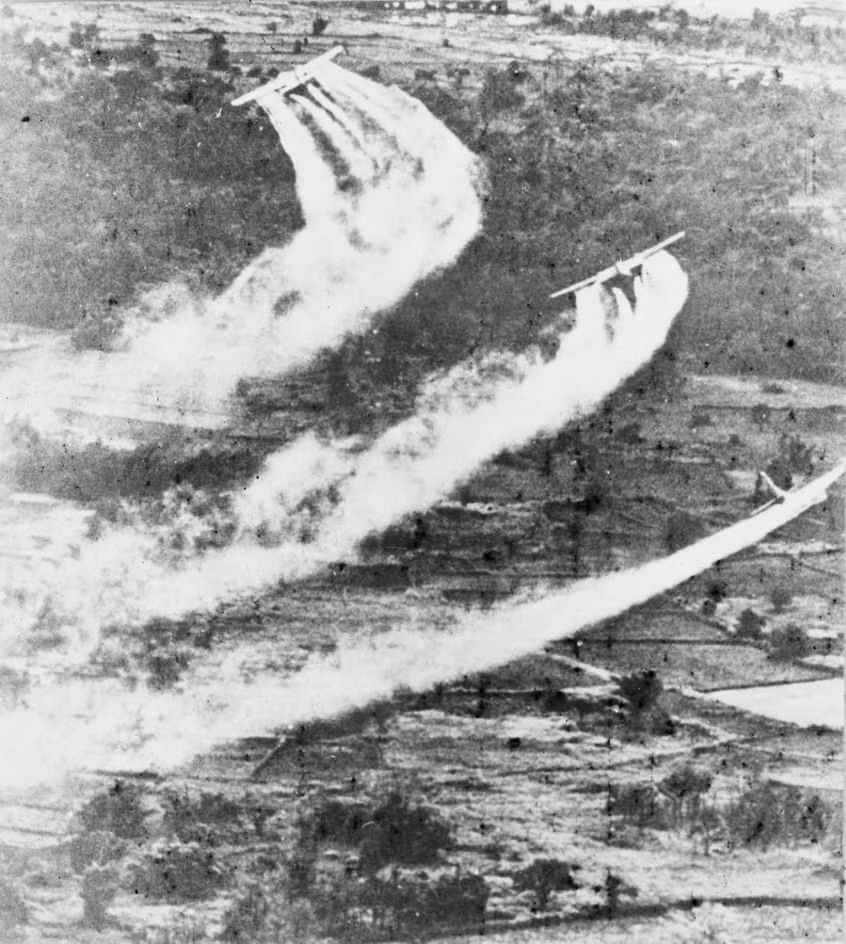 Agent orange/dioxine : une tragédie qui perdure depuis 60 ans ảnh 1