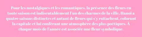 Les fleurs de Hanoï au gré des saisons ảnh 1
