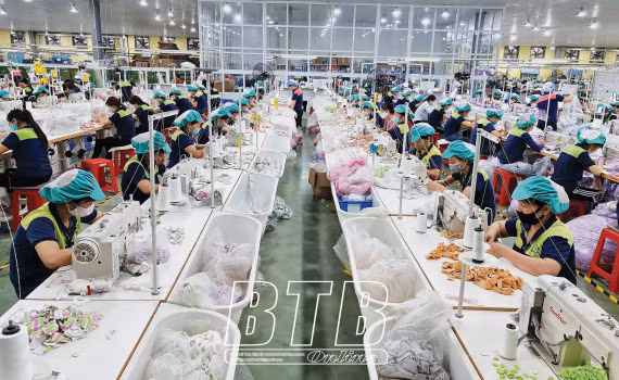 Thai Binh cible la croissance de 9.1% en 2021 ảnh 1 Thai Binh cible la croissance de 9.1% en 2021 ảnh 1