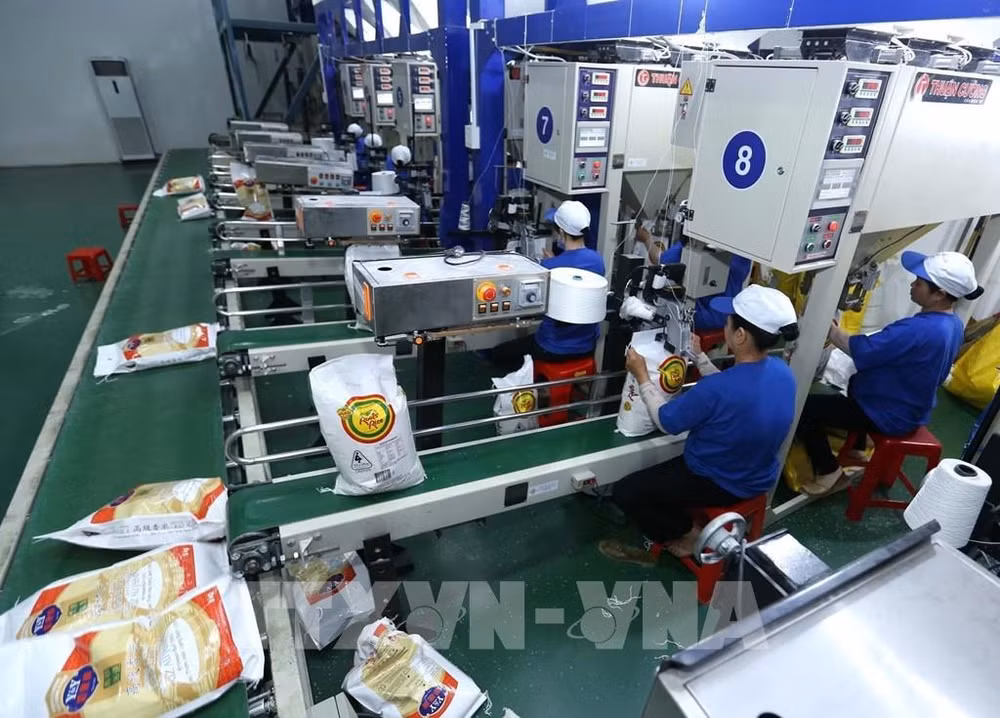 Le Vietnam table sur une hausse des exportations de riz en 2021 ảnh 2 Le Vietnam table sur une hausse des exportations de riz en 2021 ảnh 2