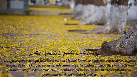 Les fleurs de Hanoï au gré des saisons ảnh 8