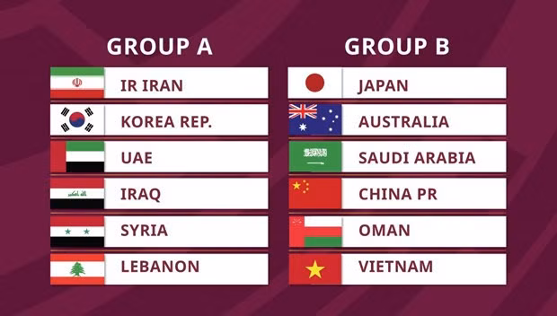 Mondial 2022 : Le Vietnam avec la Chine et le Japon ảnh 1