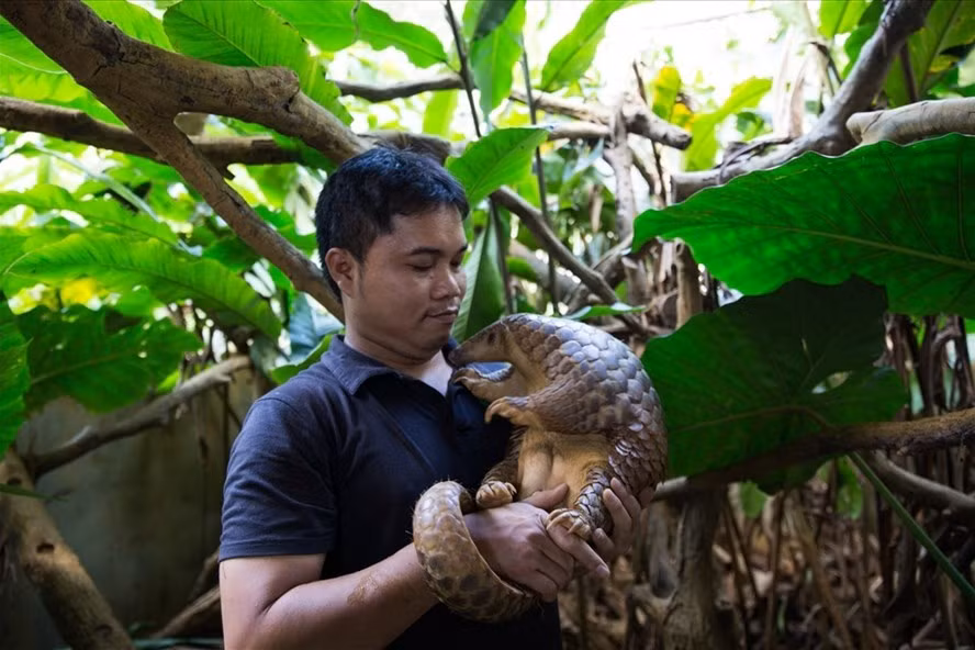 Le "Nobel vert" décerné à un Vietnamien ảnh 1