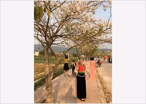La beauté des fleurs du mois de mars ảnh 6