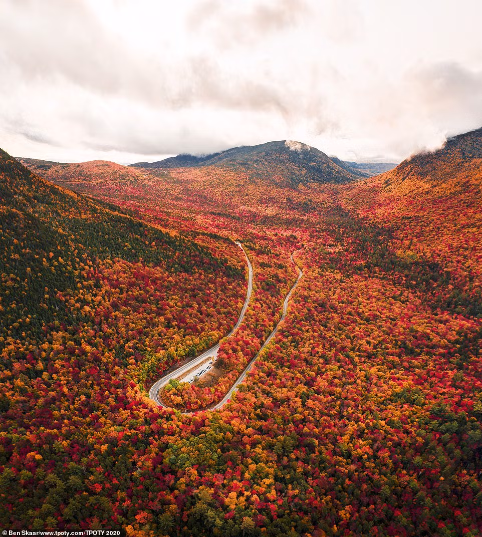 Des photos prises au Vietnam se distinguent aux Travel Photographer of the Year contest ảnh 3