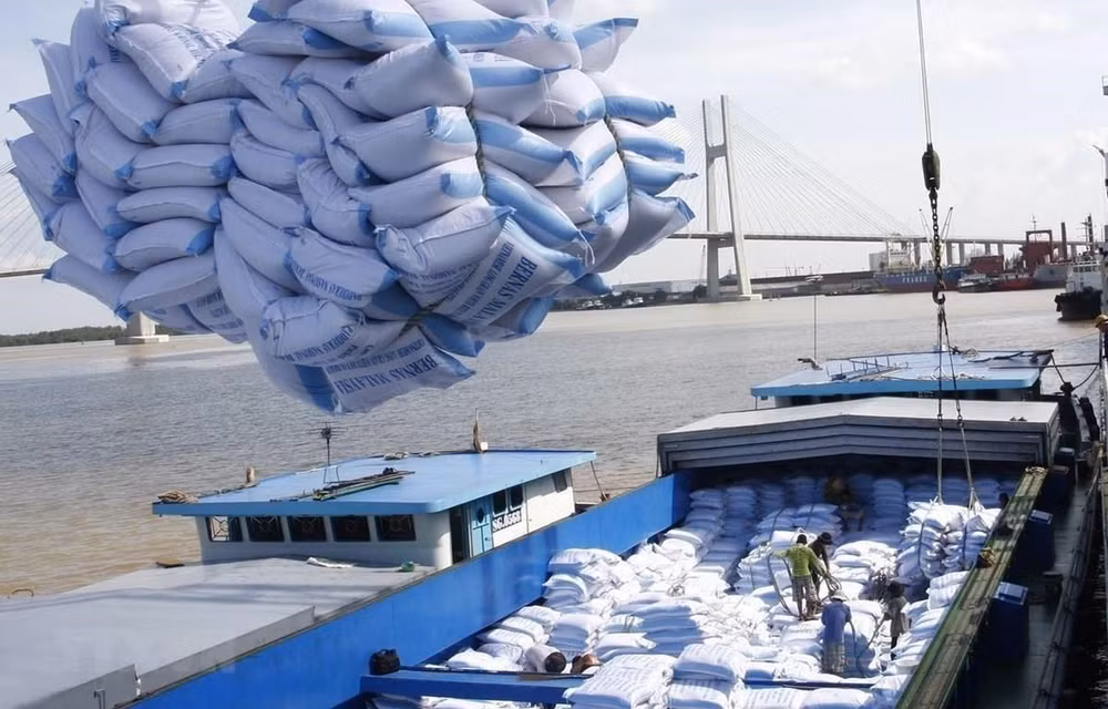 Le Vietnam table sur une hausse des exportations de riz en 2021 ảnh 1 Le Vietnam table sur une hausse des exportations de riz en 2021 ảnh 1