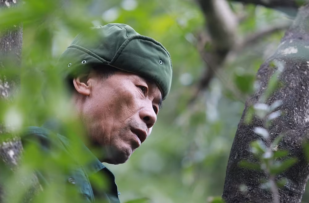 Un braconnier devient "Héros de la conservation" à Hà Nam ảnh 1